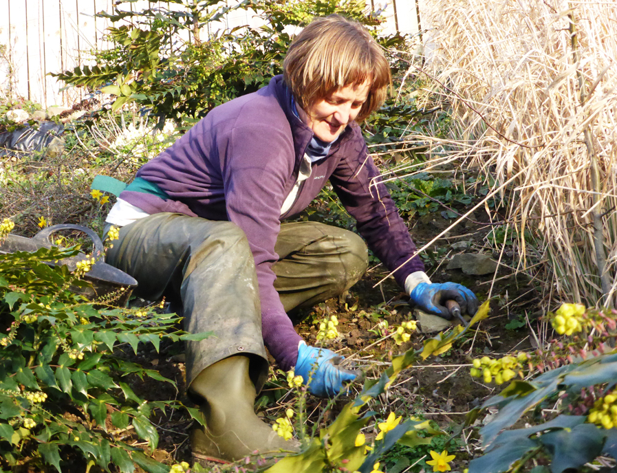 Garden Maintenance Garden Maintenance Oswestry